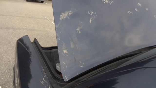 HX9V 00009 1991 Lincoln Town Car blue -Scheiß Marder- смотреть онлайн