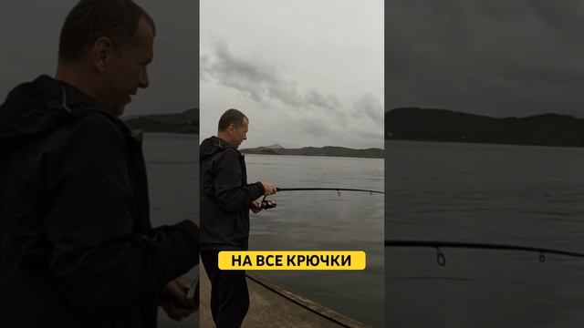 РЫБАЛКА на ВСЕ КРЮЧКИ #скумбрия #норвегия #рыбалка