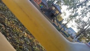 VID_20241011_160503.mp4