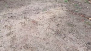 Изменения за два месяца