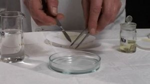 Химия. Взаимодействие щелочных металлов с водой.