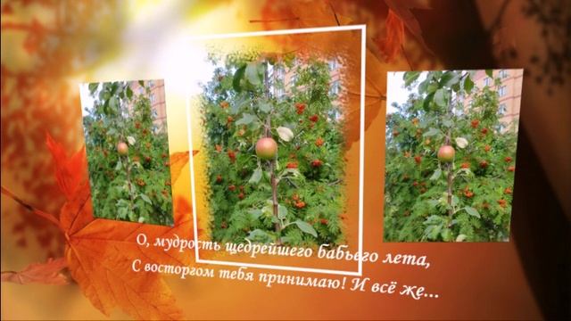 «Бабье лето»