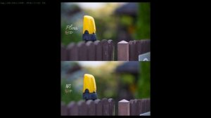 Никон где боке? Объектив Никон Plena 135 F1.8 и Sigma ART 135mm F1.8