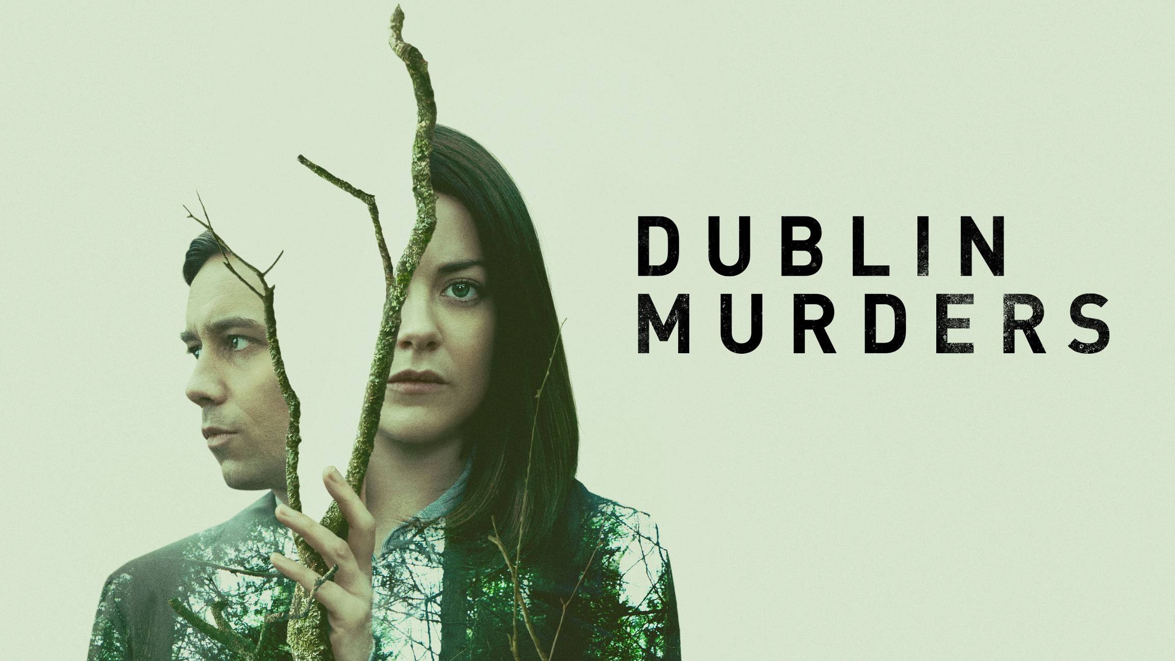 Сериал Дублинские убийства – 1 сезон 2 серия / Dublin Murders