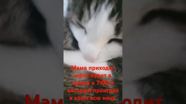 #мем #жиза #пжврек #shors