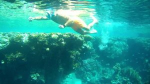 Египет  Море, пляж, рыбки