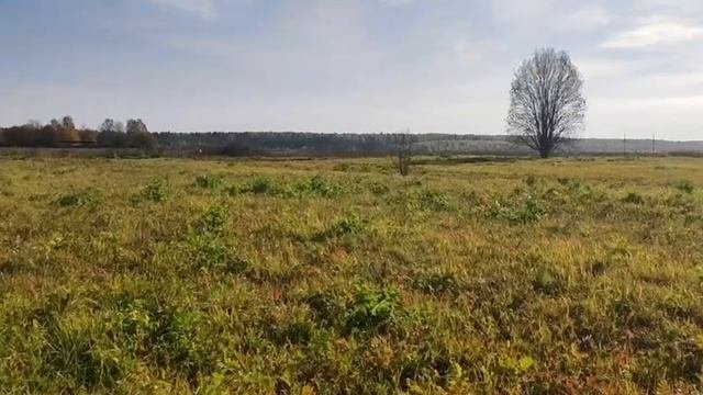 земельный участок