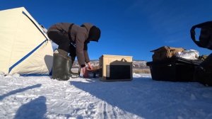 ФЛАГИ ВЗЛЕТАЮТ ОДИН ЗА ОДНИМ В ШТОРМОВУЮ ПОГОДУ! рыбалка на жерлицы 2024