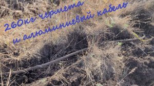 Копал чермет и нашел кабель