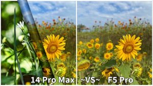 Iphone 14 Pro Max VS Poco F5 Pro Camera Test Comparison Click Some Image's #iphone #camera #poco