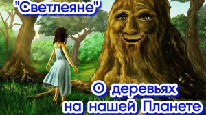 Цивилизация деревья 🌳