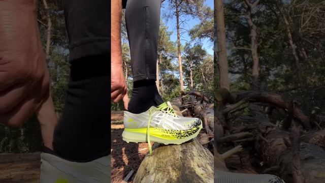 Трейловая модель Asics Metafuji Trail