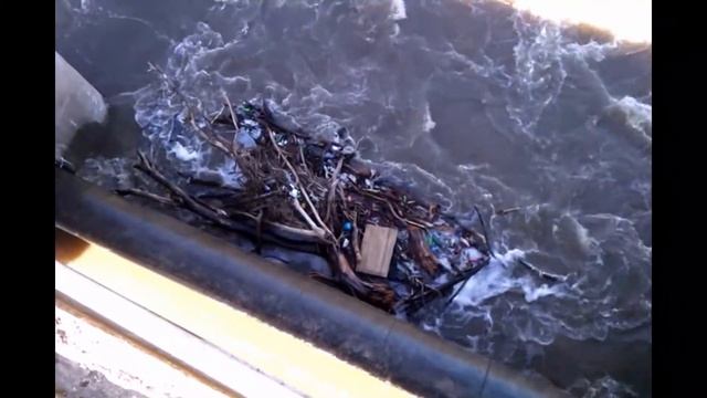 Обнинск. Плотина. Бобёр. смотреть онлайн