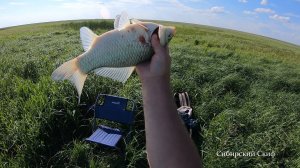 СЕКРЕТНЫЕ МЕСТА! РЫБАЛКА НА КРУПНОГО КАРАСЯ!