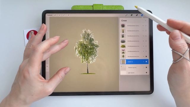 Открытый урок Ландшафтный коллаж в Procreate  #коллажи#прокриэйт#пнг#стилус#ландшафтныйпроект