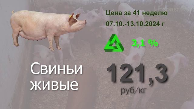 Что сейчас происходит на рынке мясной продукции? Цены за 41 неделю #мясо #аналитика #АПК