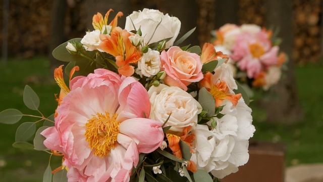 Николай и Фабиола смотреть онлайн