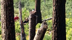 Rise_and_Shine_6_Unit_3