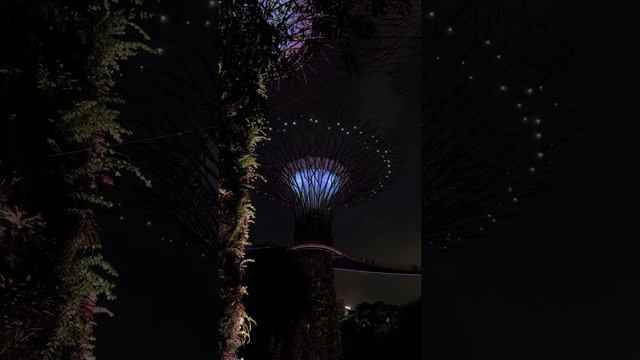 Gardens by the Bay в Сингапуре