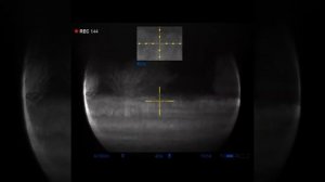 Два дня охоты на шакала.