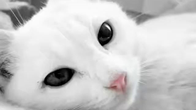 Муза "Фотки в контакте" смотреть онлайн