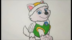 Щенячий патруль - Эверест, раскраска для детей Paw Patrol. Детский канал Lil Bambino.