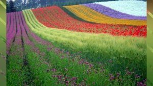 EHTIROSLI VOQEA 2-QISM,FAQAT KATTALAR KO'RSIN! DAXSHAT TEZ KO'RING.