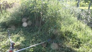 FŰRÉSZ MÁNIA: BOZÓTIRTÁS OLEO MAC BC550-EL ÉS MULCSKÉSSEL