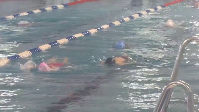 Брасс и Дельфин. Басейн Водолей смотреть онлайн