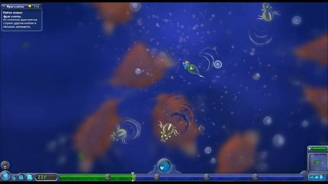Spore тест