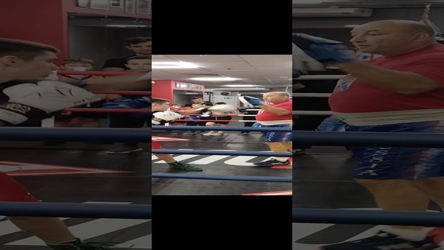 бокс тренировка