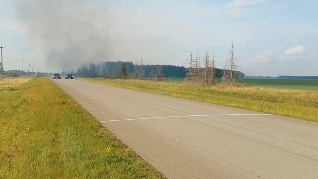 AMG 43 vs STINGER GT + Porsche Taycan vs BMW X6 M vs Evolution X vs Golf R vs BMW 530d vs TOYOTA MR2 смотреть онлайн