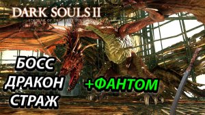 БОСС ДРАКОН-СТРАЖ! ПРОХОДИМ НА ЛЕГКЕ! Dark Souls 2: scholar of the first sin (THE GUARDIAN DRAGON)