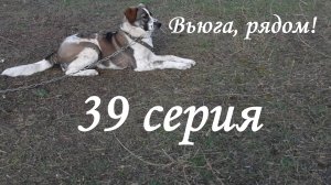 "Вьюга, рядом!" 39 серия