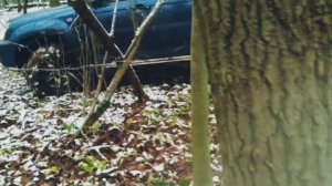 Ландмарк. лес. бездорожье lite. Off-road