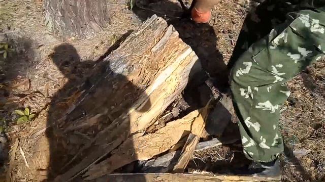 #КЛАД!  НАХОДКИ СТАВШИЕ СЕНСАЦИЕЙ! В ПОИСКАХ КЛАДА И ЗОЛОТА ОТ ВИКЛИНГА!
