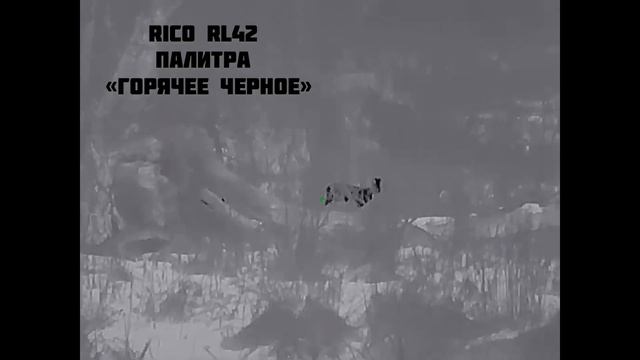 Поиск волков и охота на шакала смотреть онлайн