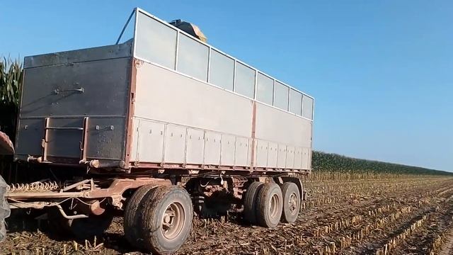 Trinciato mais 2020 | Claas Jaguar 870 | Claas, John deere, Case Ih | Team Valerio смотреть онлайн