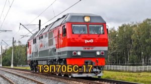 Какие шансы встретить поезда в Староминской