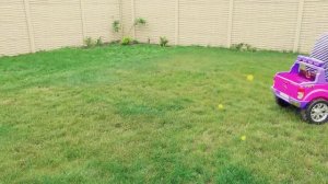 Милана и папа играют в полицейского и погоню