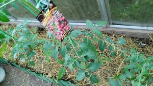 VID_20240612_193853.mp4