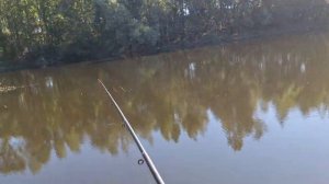 В поисках рыбы #рыбалка #fishing #рыба