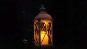 4180633-hd_1920_1080_30fps