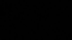 Римская свеча Roman Candle  GWL 0012