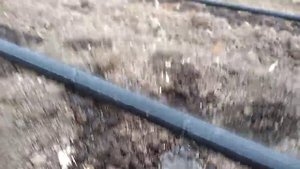 Капельная лента Neo Drip