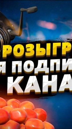 РОЗЫГРЫШ ПРЕМИУМА И ГОЛДЫ НА 200 ПОДПИСЧИКОВ!!! Русская Рыбалка 4, Russian Fishing 4