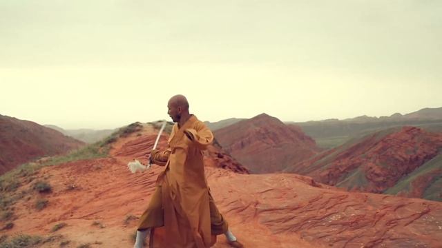Shaolin Kung Fu Master—Yanjue Shi/少林寺第一护法释延觉