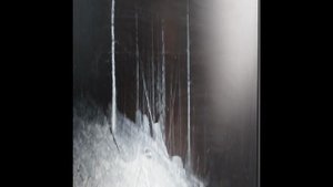 VID-20241013-WA0006.mp4