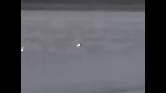 Нашествие шакалов.( только выстрелы),,, 17 хищников смотреть онлайн