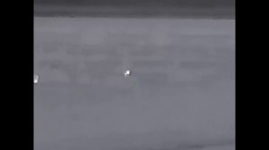 Нашествие шакалов.( только выстрелы),,, 17 хищников